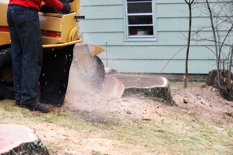 Commercial Stump Grinding in Prince Georges County, MD