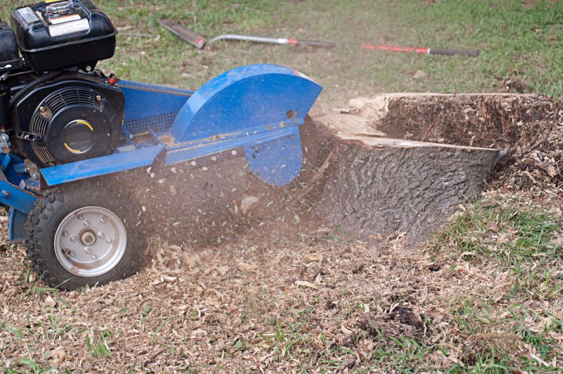 Bush Stump Grinding in Prince Georges County, MD