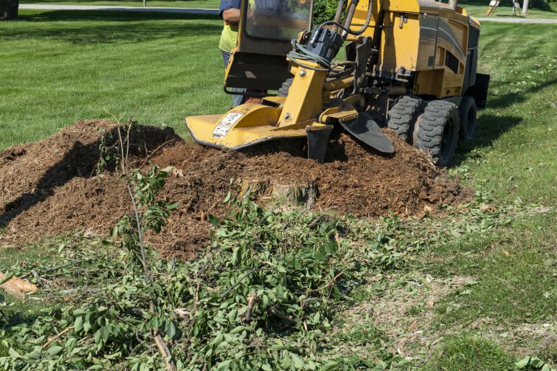 Commercial Stump Grinding in Bucks County, PA