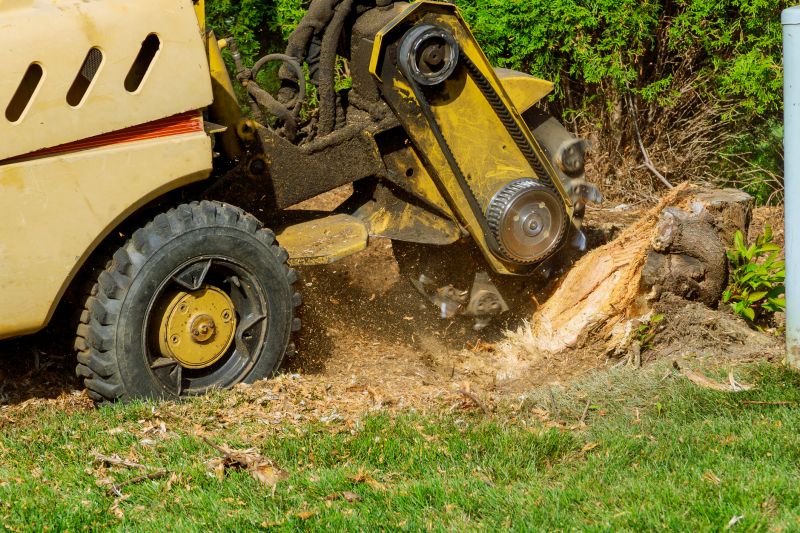 Commercial Stump Grinding in Bucks County, PA