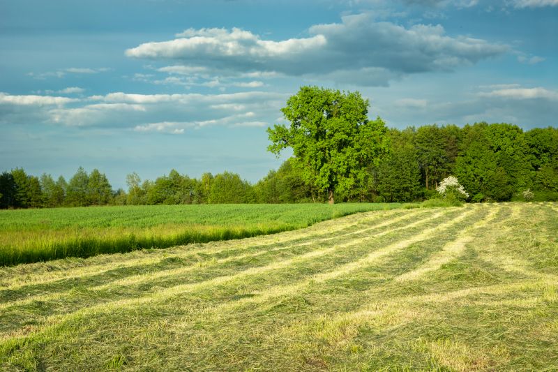 Farm Clearing in Salt Lake City, UT