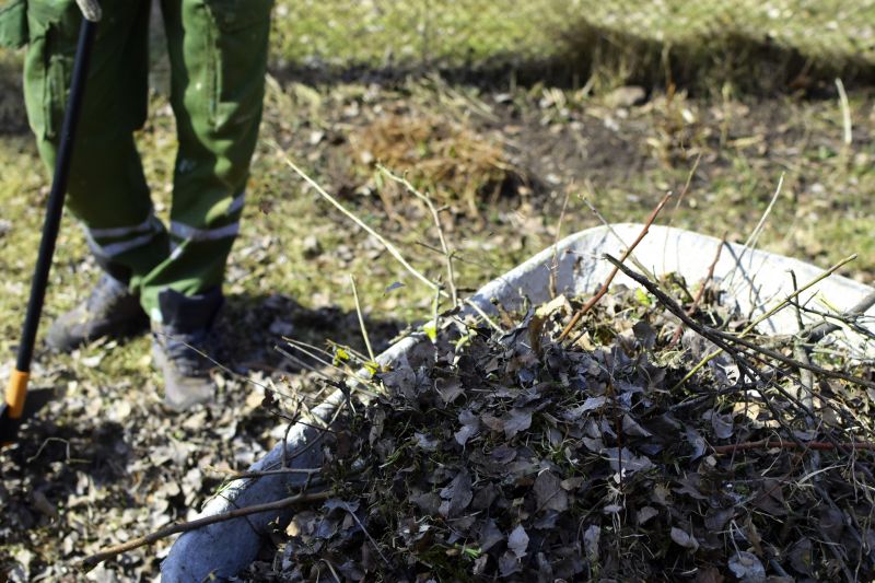 Grubbing in Houston, TX