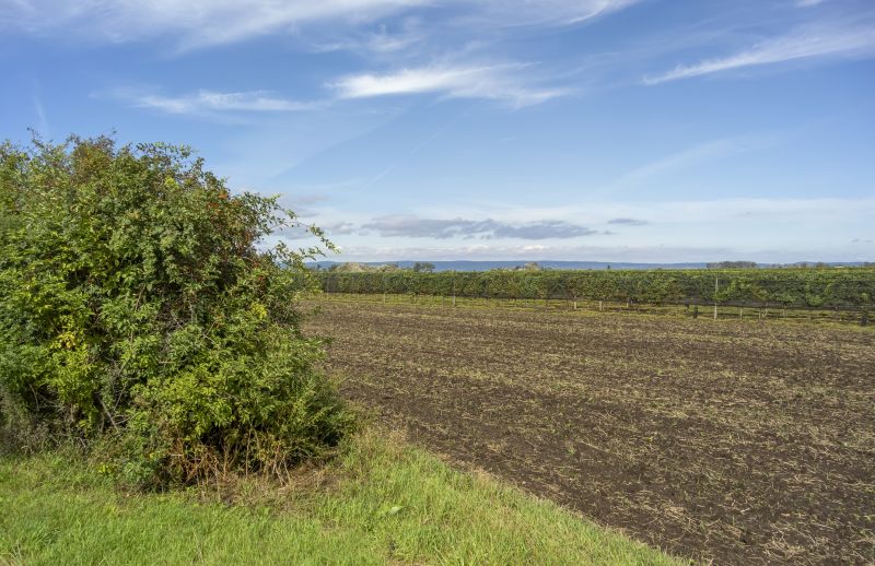 Land Clearing in Katy, TX