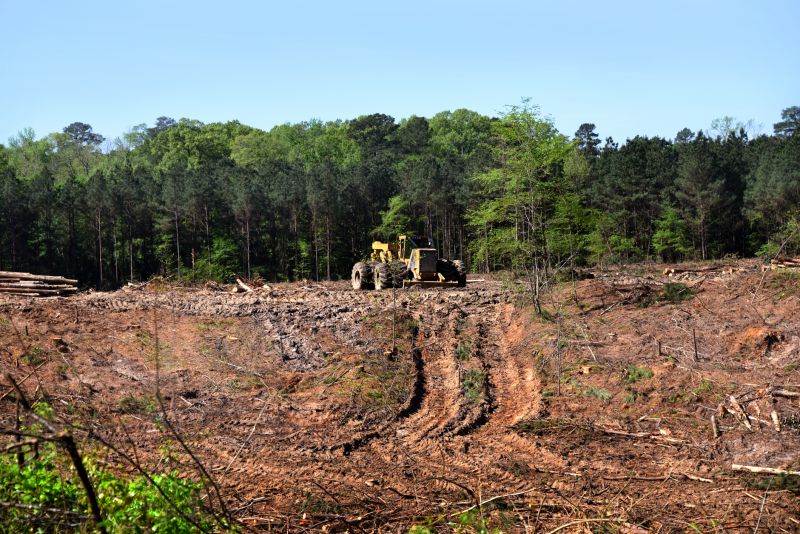 Land Clearing in Marietta, GA