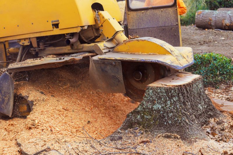 Stump Cutting in Aiken, SC
