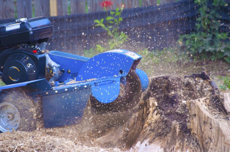 Stump Grinding Service in Prince Georges County, MD