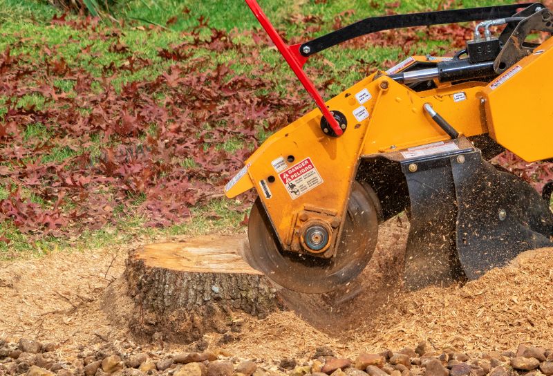 Stump Grinding Service in Prince Georges County, MD
